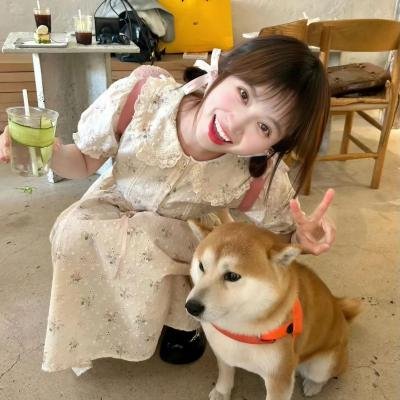 小小间谍:博客战争